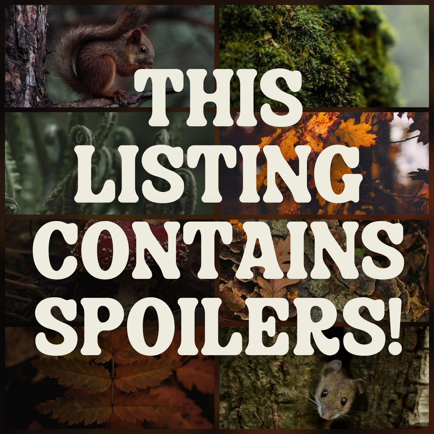 2025 Woodland Winter Box: SPOILER Edition