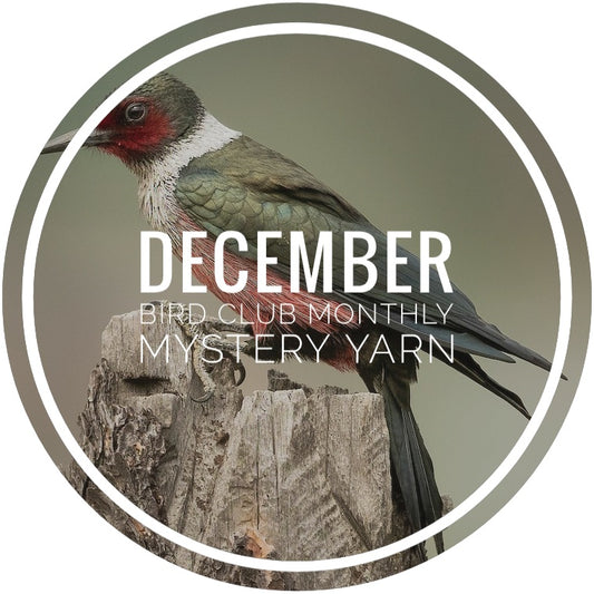 Bird Club Monthly Mystery Yarn - December