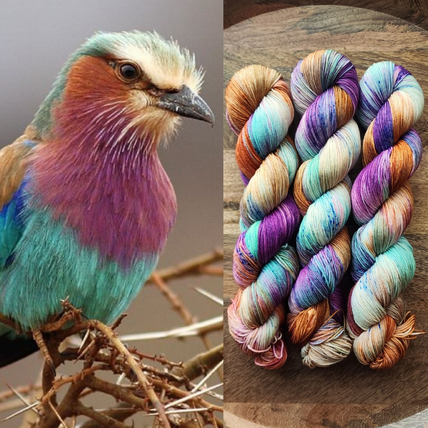 PRE-ORDER: Lilac-Breasted Roller