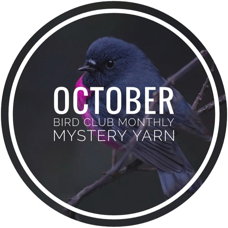 Bird Club Monthly Mystery Yarn - October