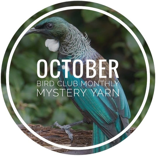 Bird Club Monthly Mystery Yarn - October