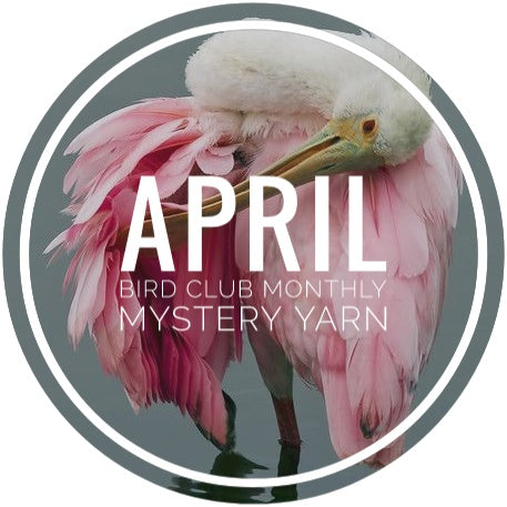Bird Club Monthly Mystery Yarn - April
