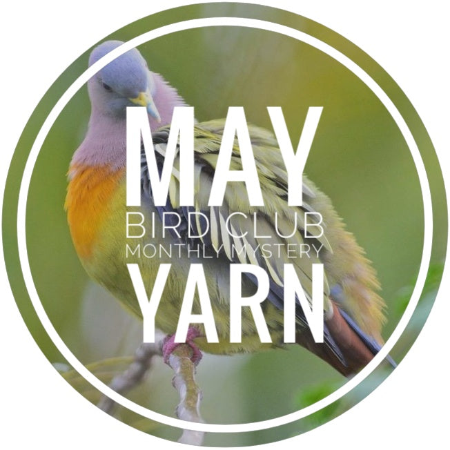 Bird Club Monthly Mystery Yarn - May