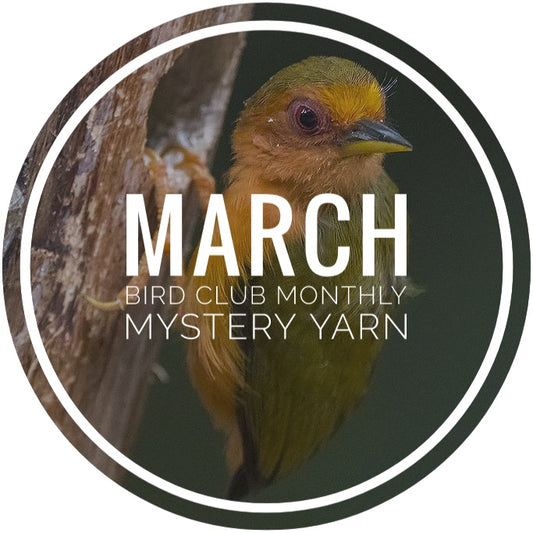 Bird Club Monthly Mystery Yarn - March