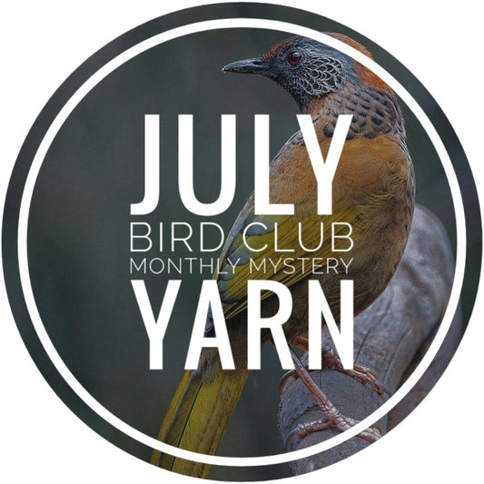 Bird Club Monthly Mystery Yarn - July