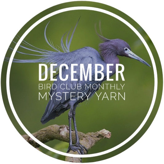 Bird Club Monthly Mystery Yarn - December