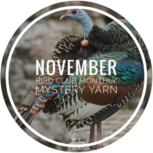 Bird Club Monthly Mystery Yarn - November