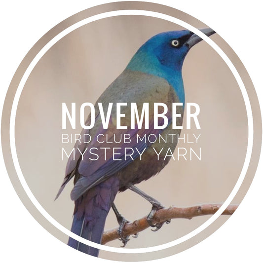 Bird Club Monthly Mystery Yarn - November