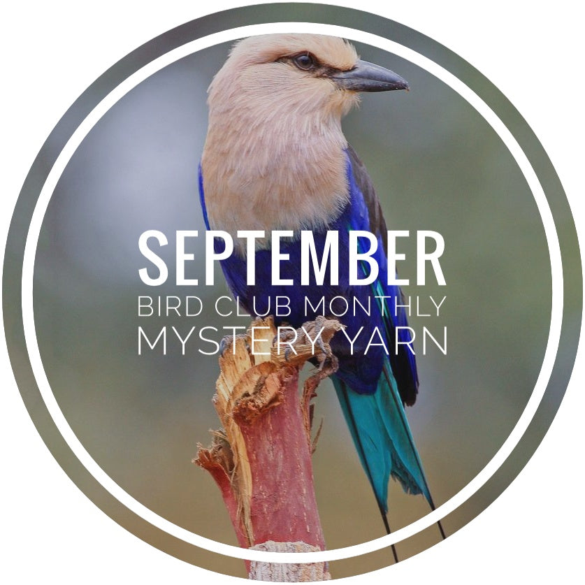 Bird Club Monthly Mystery Yarn - September