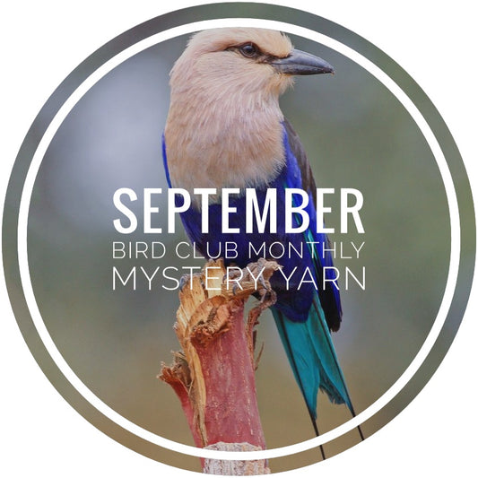 Bird Club Monthly Mystery Yarn - September