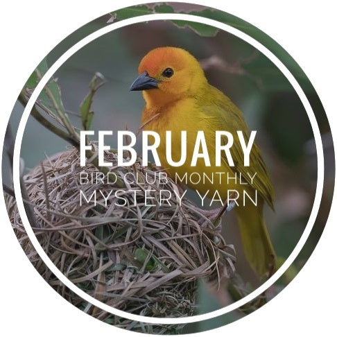 Bird Club Monthly Mystery Yarn - February