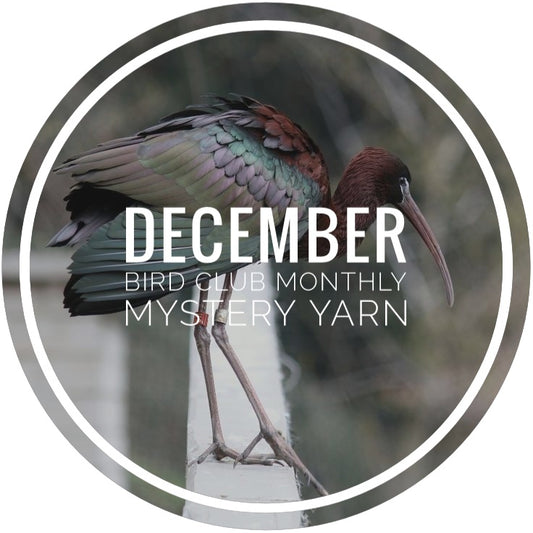 Bird Club Monthly Mystery Yarn - December