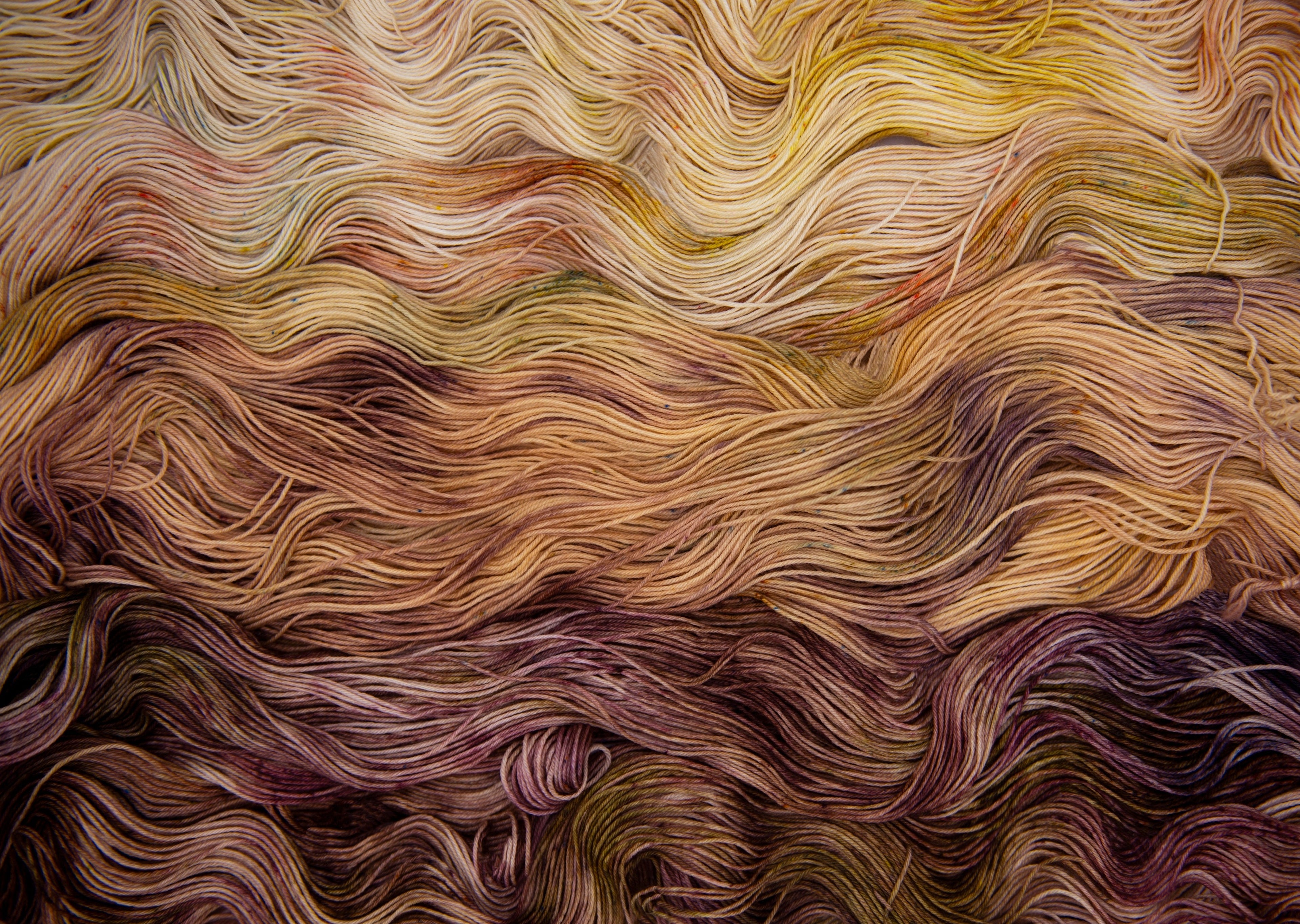 PRE-ORDER: Flora Fade Kit