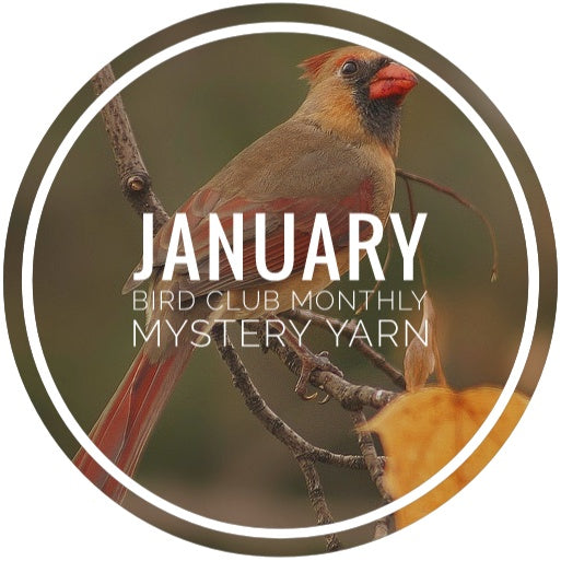 Bird Club Monthly Mystery Yarn - January