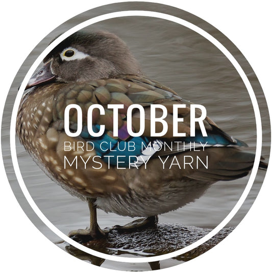 Bird Club Monthly Mystery Yarn - October